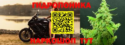 дживик Камышлов