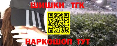 дживик Камышлов