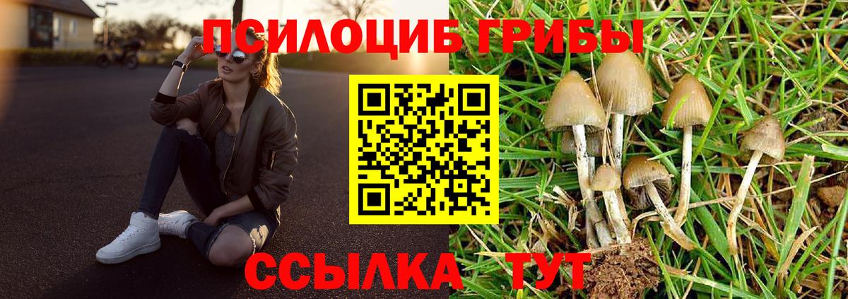 Псилоцибиновые грибы мухоморы  Галлюциногенные грибы мицелий  Истра  Вход с VPN 
